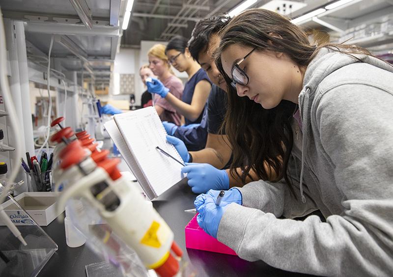 student analyzing water samples